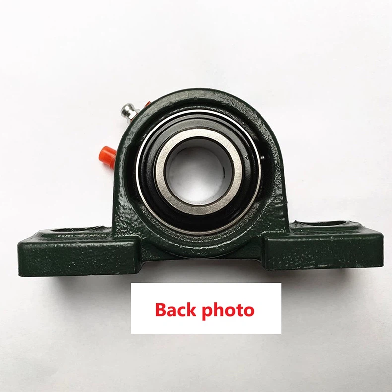 -back-photo -back-photo